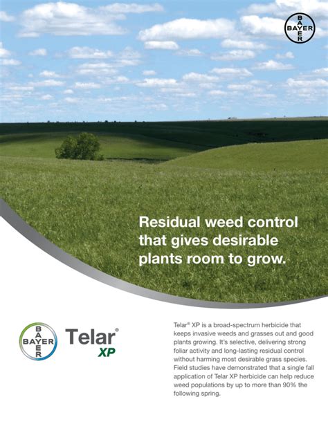 telar herbicide|Residual weed control